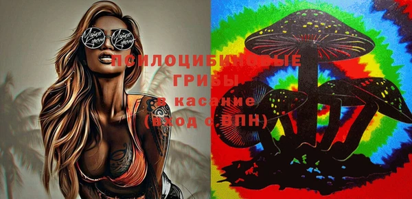 таблы Абинск